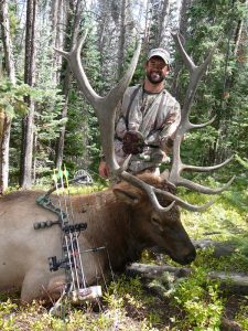 Colorado Elk, 2009