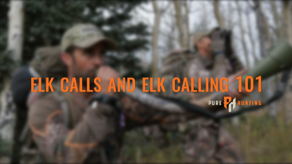 Elk Calls and Elk Calling 101 Pure Hunting