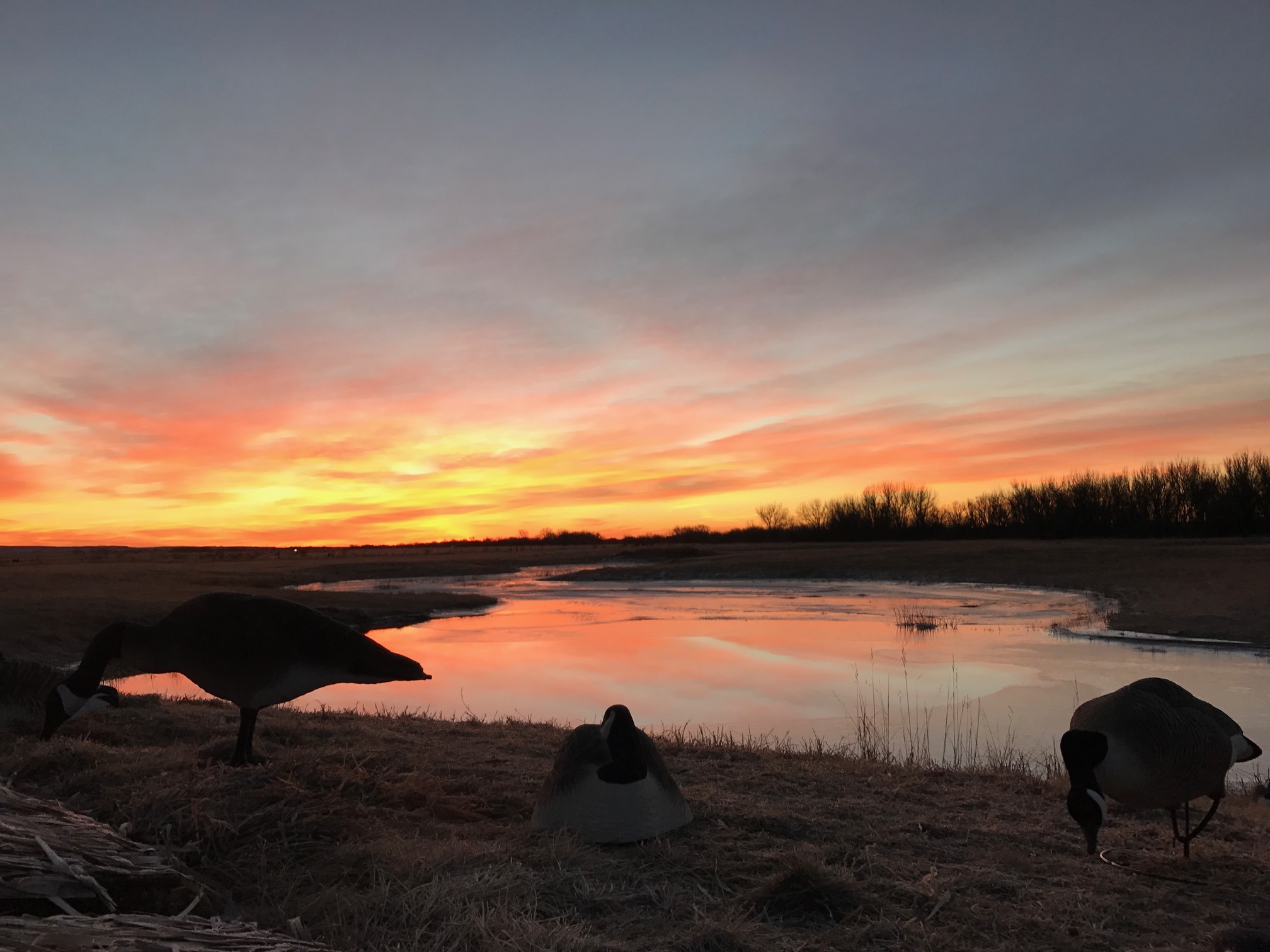 waterfowl hunting