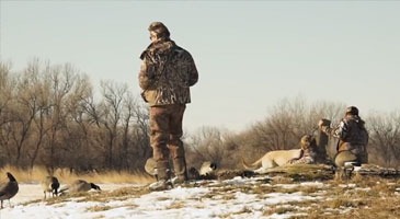 Episode 505 - Nebraska waterfowl