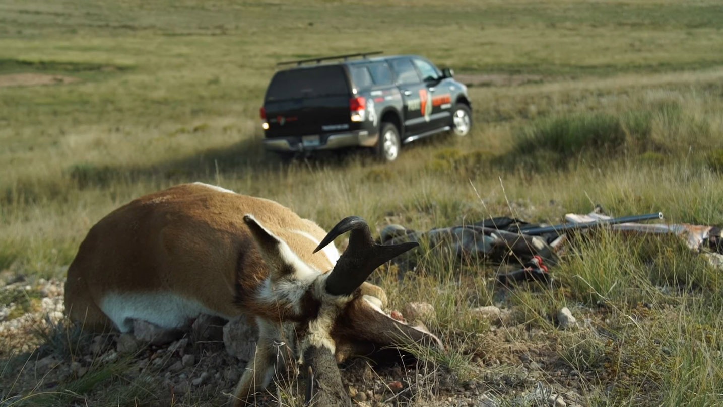 pronghorn hunting