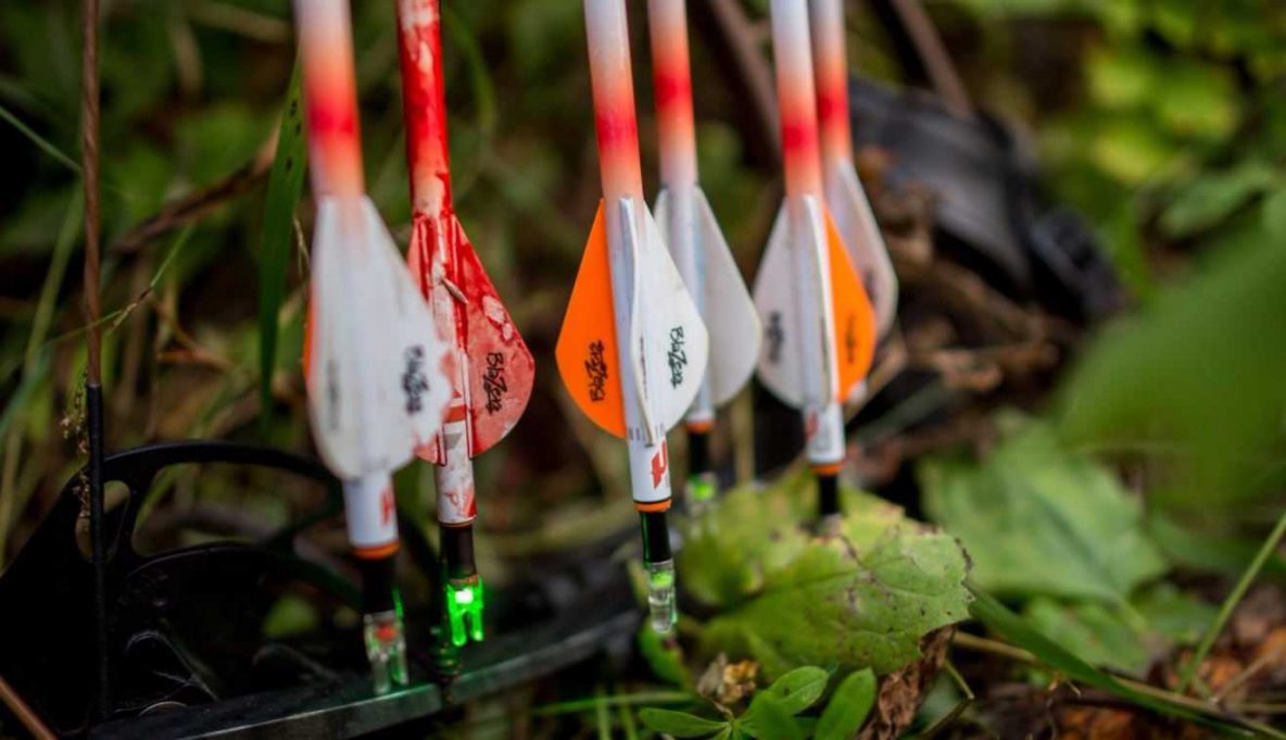 Product Hunting Reviews Lighted Nock Review Pure Hunting