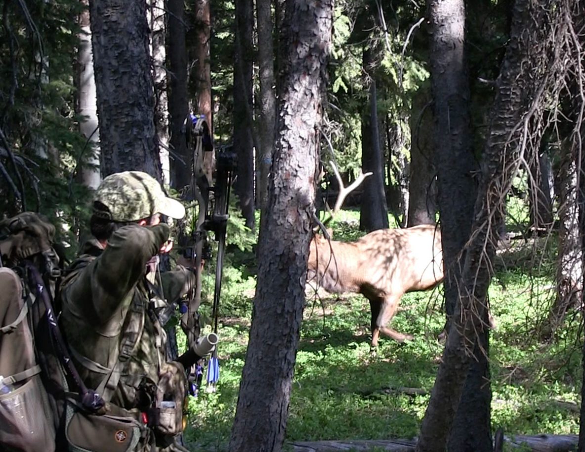 Utah Elk Hunting Full Story of Willi Schmidt’s 2017 Hunt Pure Hunting