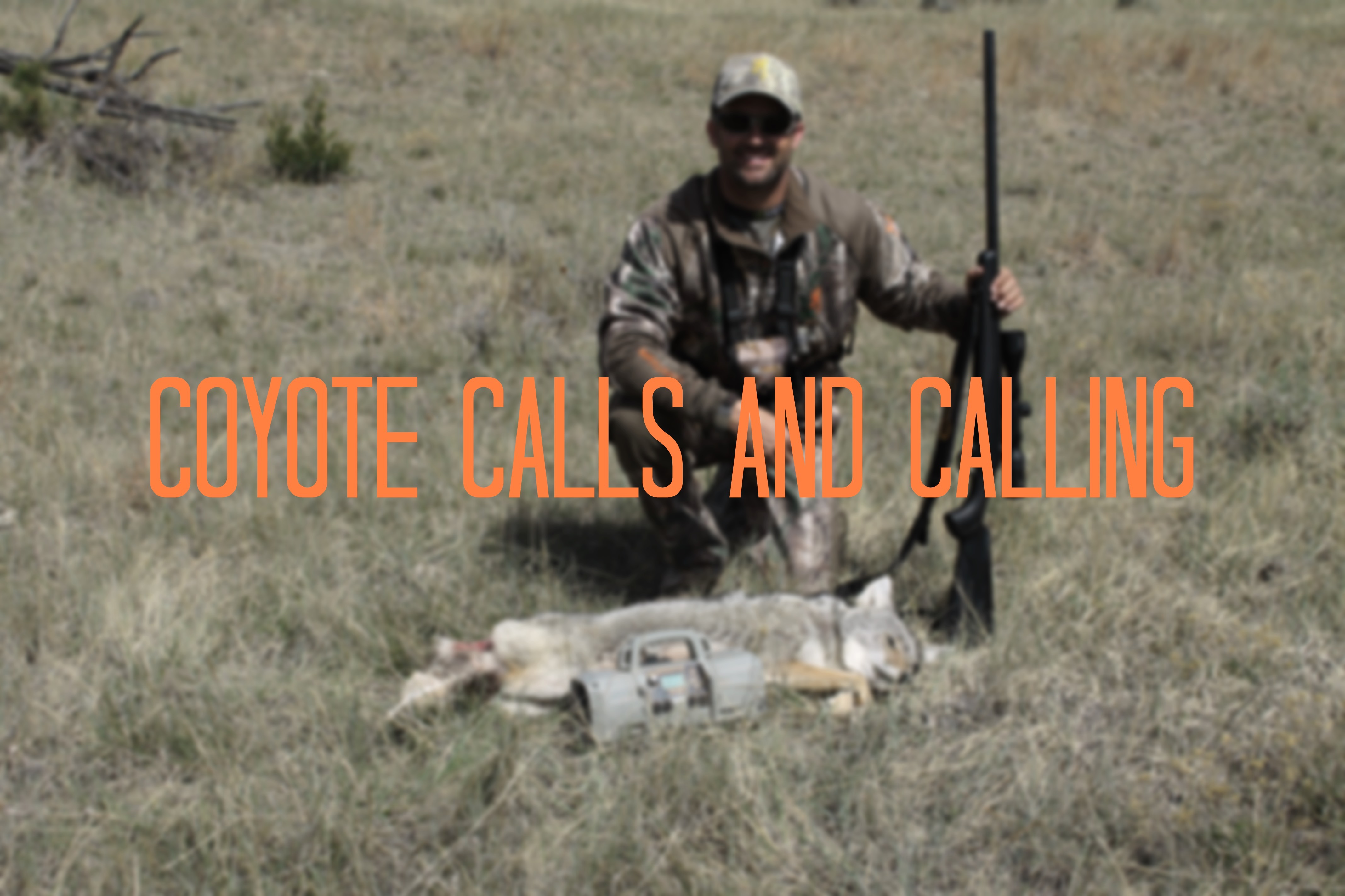 coyotecallsandcalling101hunting_feature Pure Hunting