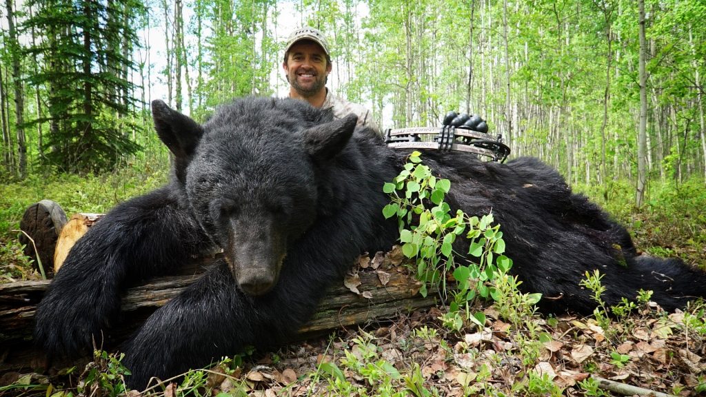 Black Bear Hunting Opportunities and Tips