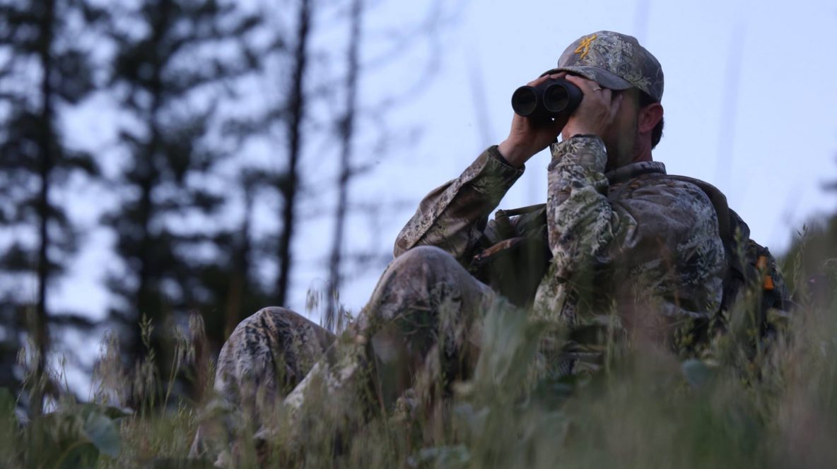 Black Bear Hunting Opportunities and Tips Pure Hunting