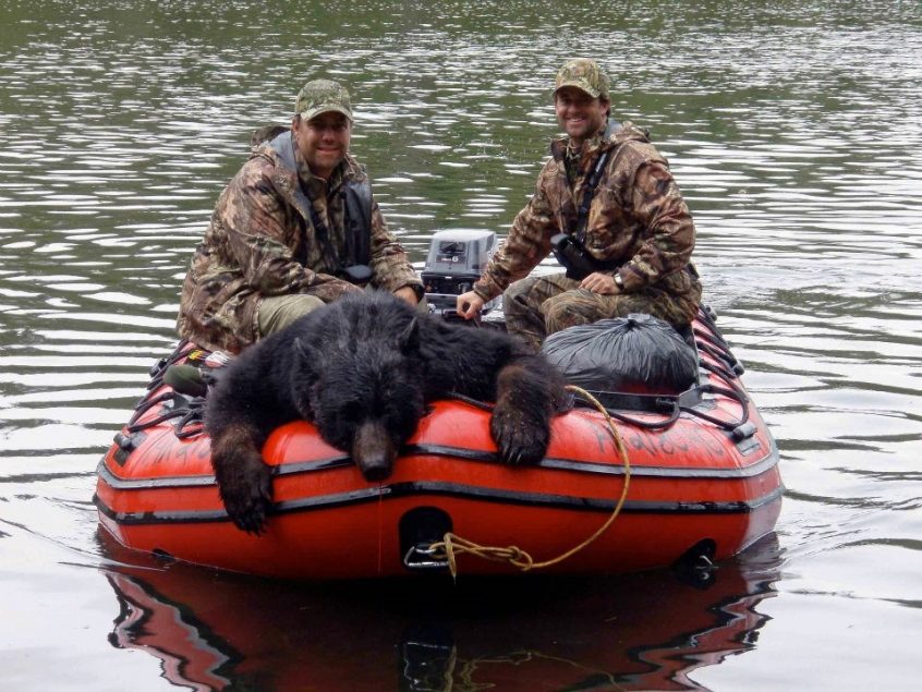 Black Bear Hunting Opportunities and Tips Pure Hunting