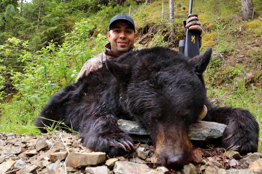 Black Bear Hunting Opportunities and Tips Pure Hunting