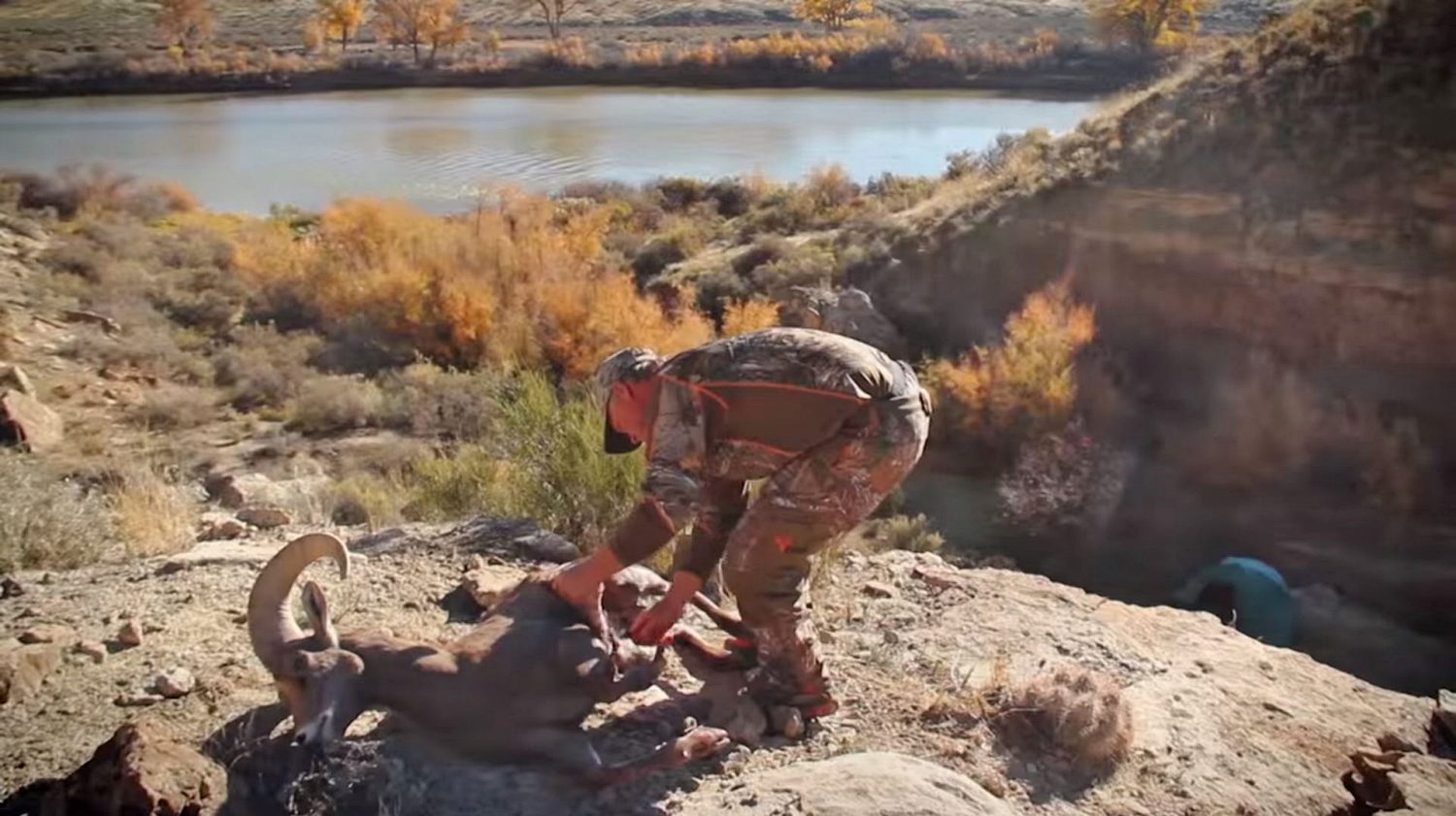 DIY Sheep Hunting Tips and Tactics Pure Hunting