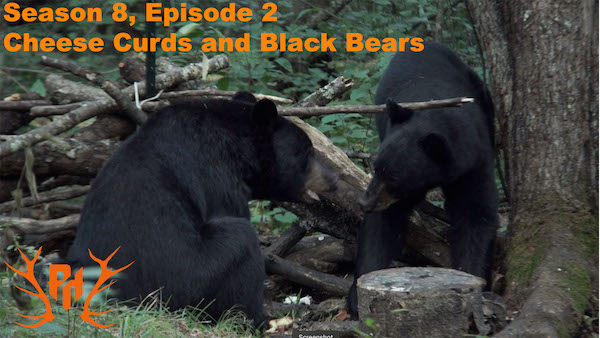 Episode 802 - Wisconsin Black Bear Hunting