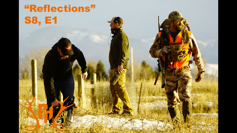 Reflection 801 - What is Pure Hunting?