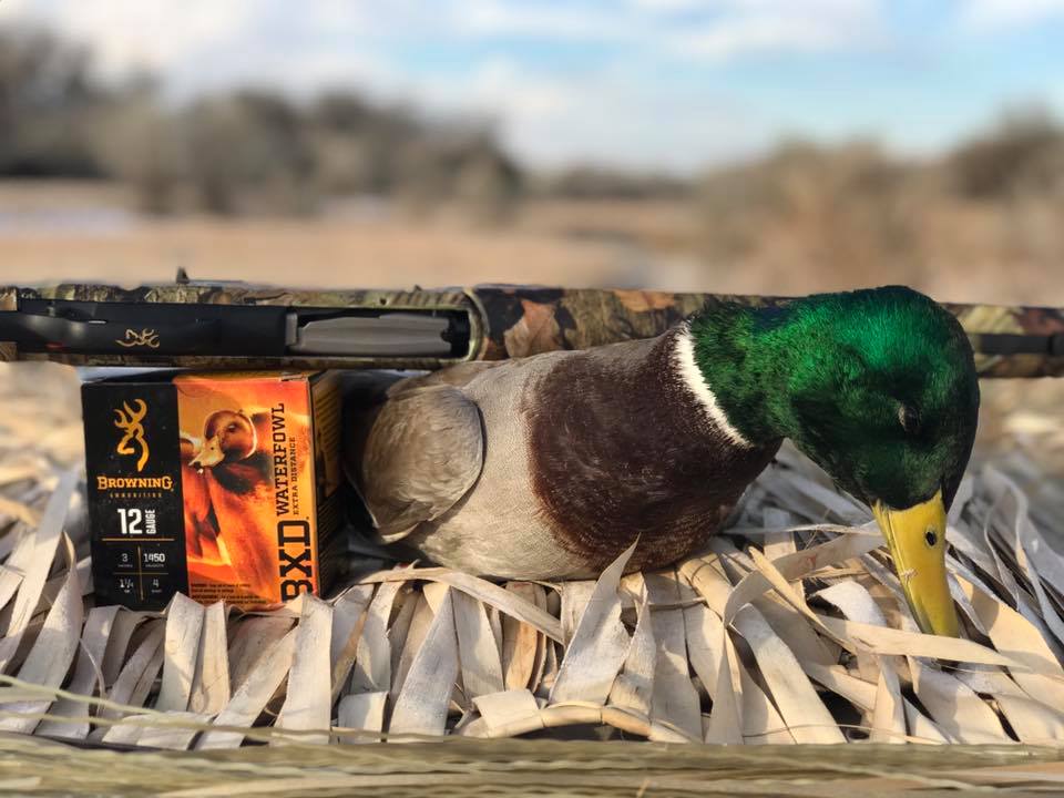 Choosing an All-Around Shotgun maxus feature pic 2