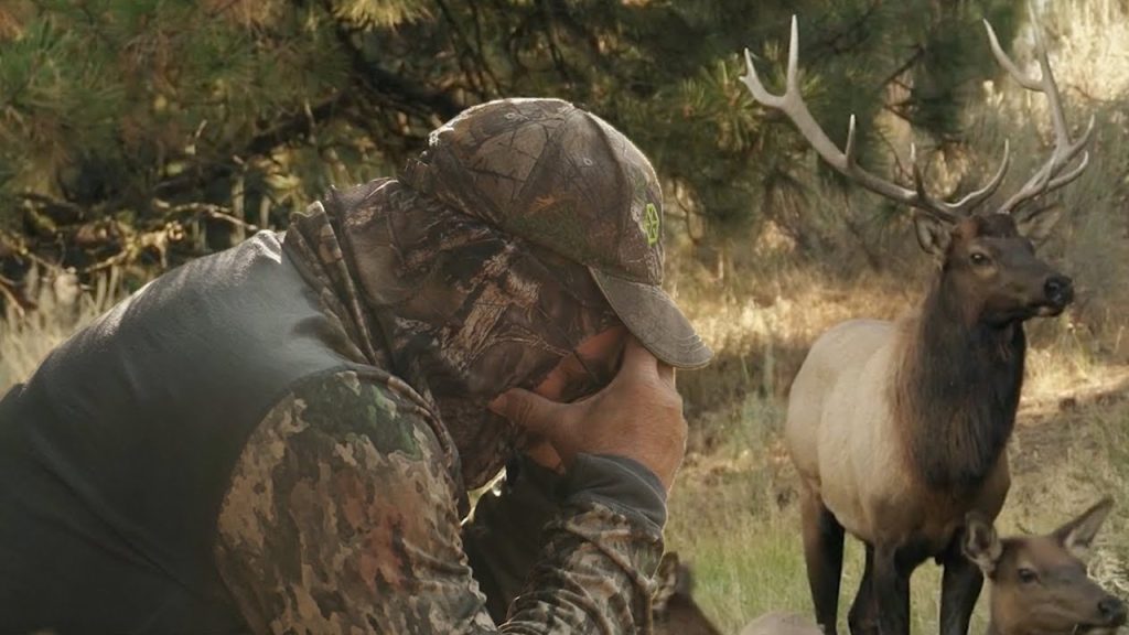 Episode 1010 - Elk In The Beaver State