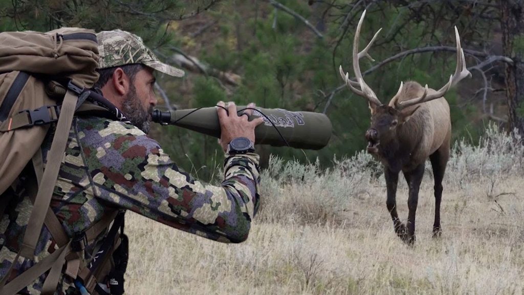 Episode 1102 - Bowhunting Montana Bulls