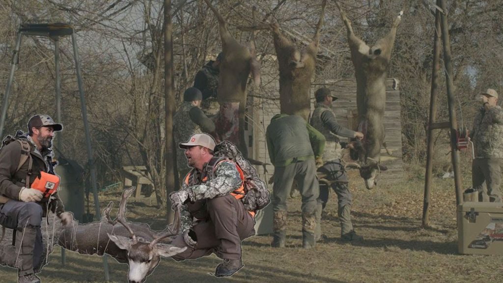 Episode 1109 - Montana Deer Hunt